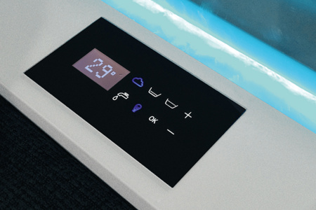 Спа бассейн Treesse Zen